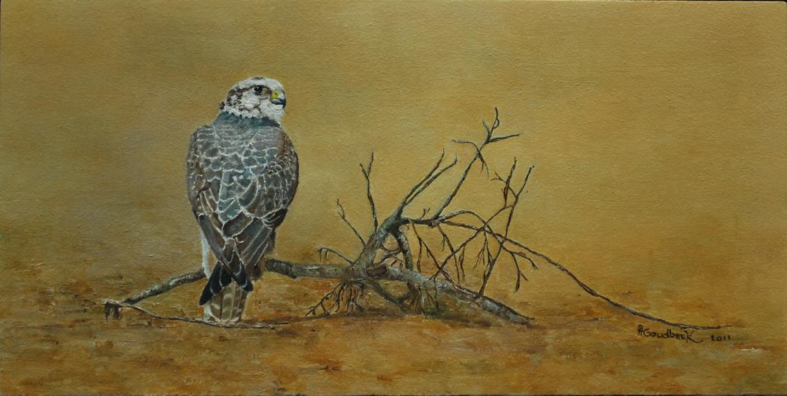 ‘Saker Falcon in the Desert’